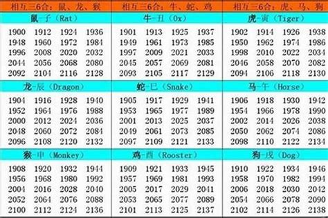 1982是什么年|1982 年出生属什么生肖